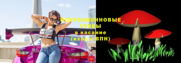 МДПВ Алексеевка