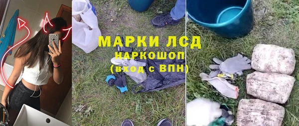 прущий лед Алзамай