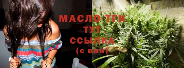прущий лед Алзамай