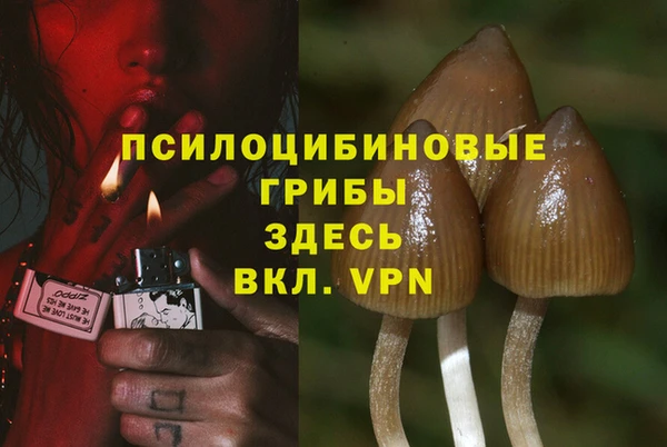 прущий лед Алзамай
