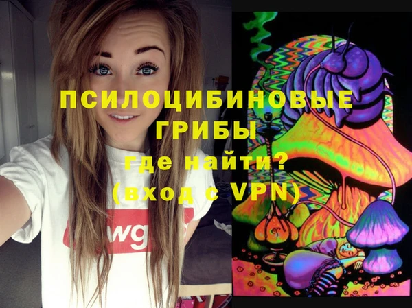 МДПВ Алексеевка