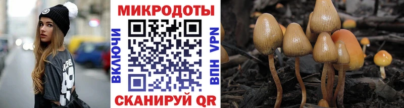 Псилоцибиновые грибы мицелий  купить   Избербаш 