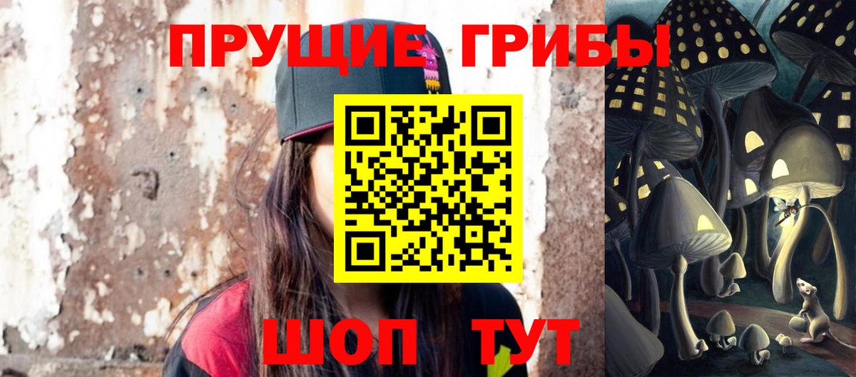Избербаш  Галлюциногенные грибы MAGIC MUSHROOMS  где можно купить наркотик  Вход с VPN 